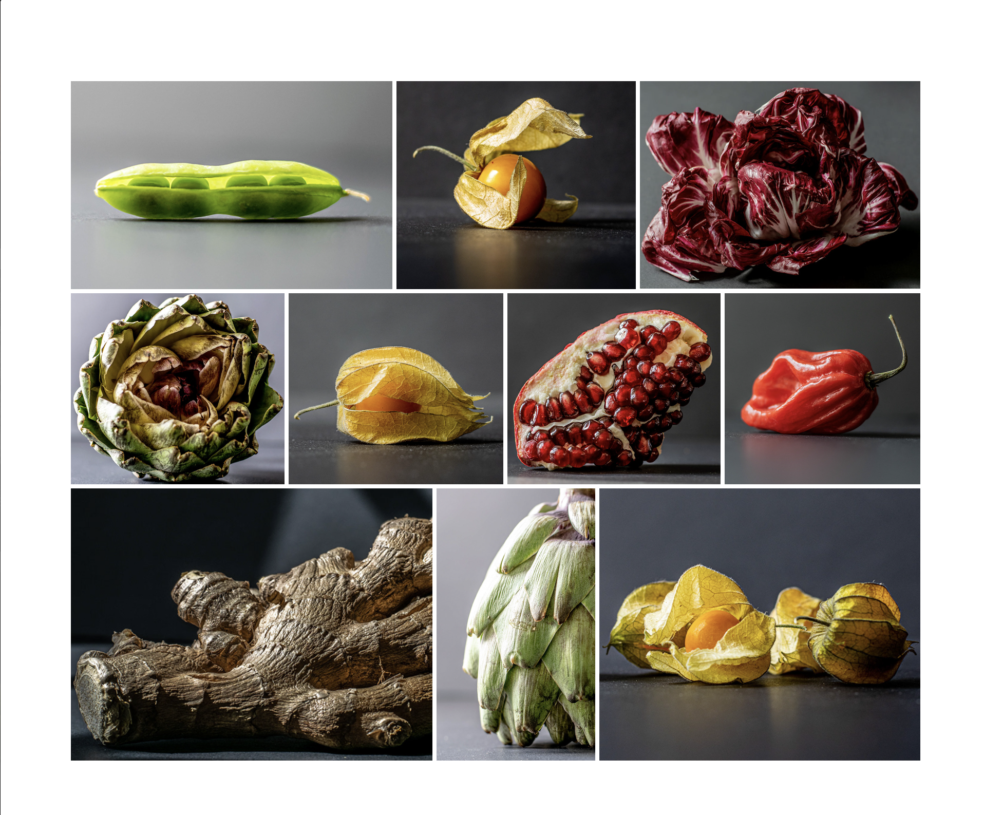 Thumbnail image representing a series of photographs